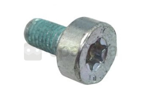 Screw 05x10 9022-399-0950