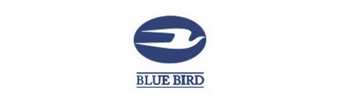 BLUE BIRD